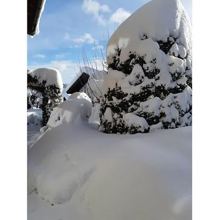 With 1 Bedroom * Bad Wiessee